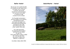 Reifer-Herbst-Müller-Jahnke.pdf